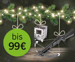 Linkgrafik zu Geschenkideen bis 99 Euro
