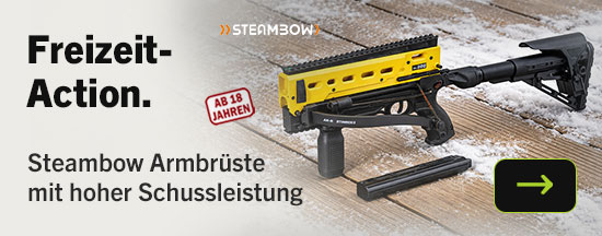 Linkgrafik zur Kategorie Steambow