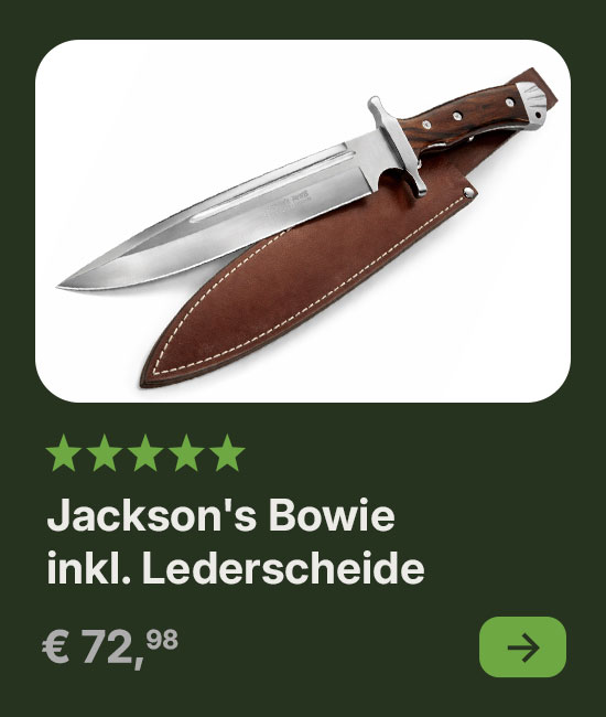 Linkgrafik zum Top Artikel 1