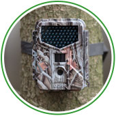 Linkgrafik zum Sortiment Kameras